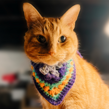 Load image into Gallery viewer, Spooky CAT Bandanas