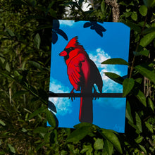 Load image into Gallery viewer, Cardinal in the Sky 5x7 Art Print by Alexis Kennedy
