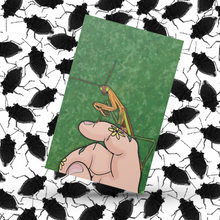 Load image into Gallery viewer, Mantis in my Hand 5x7 Art Print by Alexis Kennedy