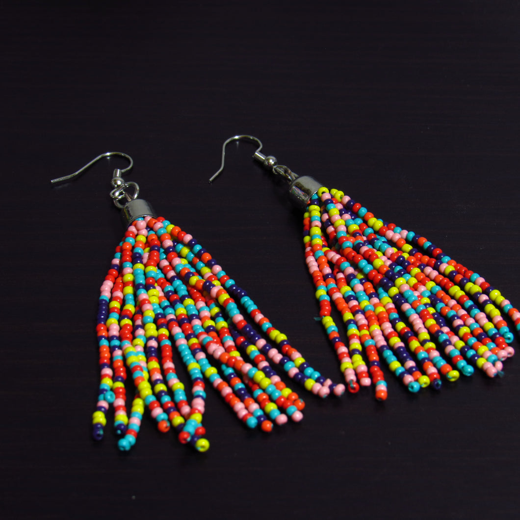 Rainbow Beaded Tassel Earrings🌈