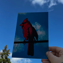 Load image into Gallery viewer, Cardinal in the Sky 5x7 Art Print by Alexis Kennedy
