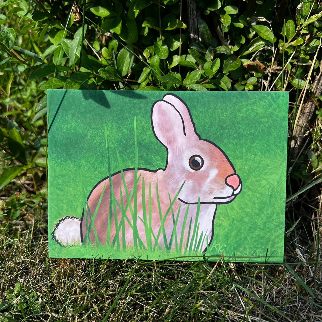 Bunny in the Grass 5x7 Art Print by Alexis Kennedy