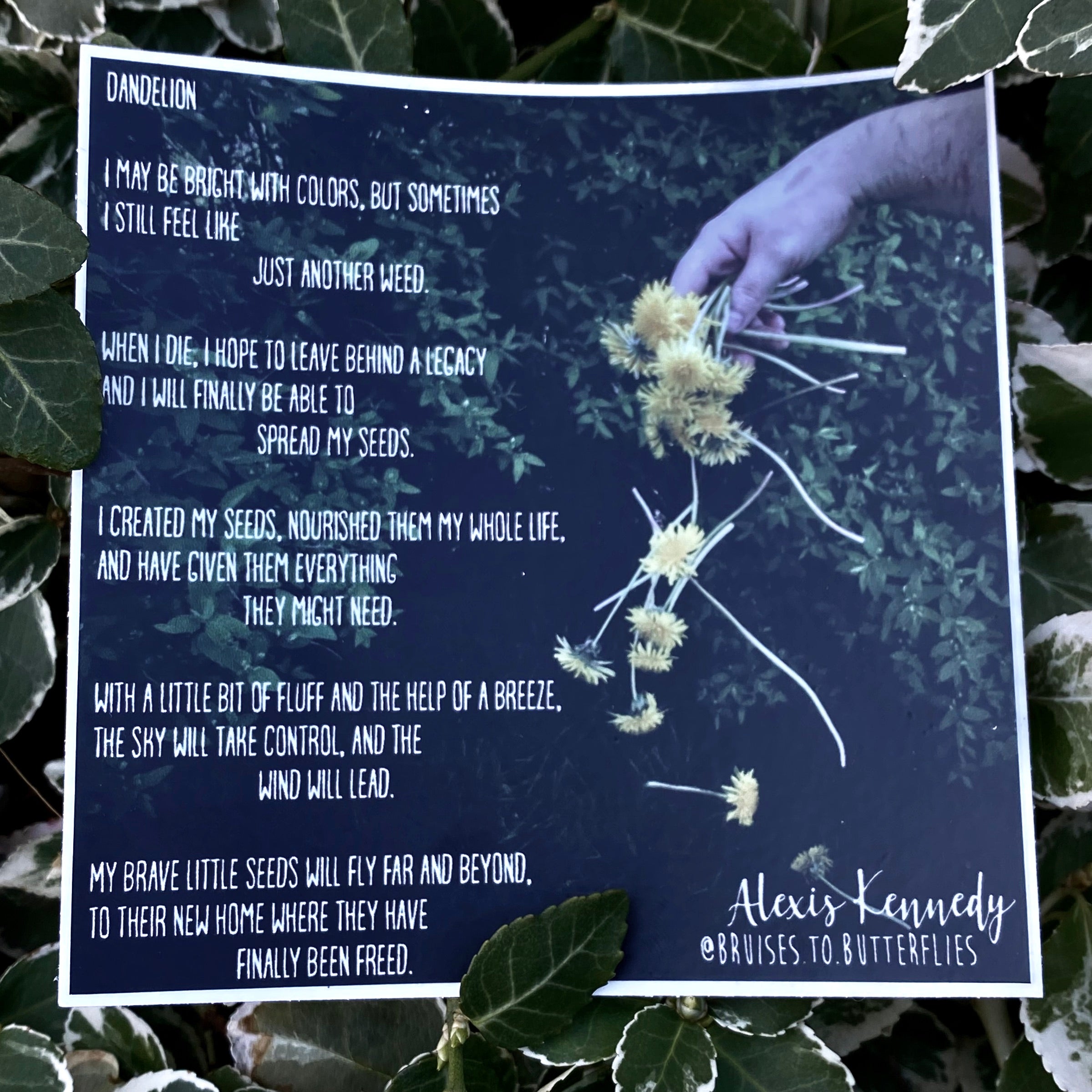 Dandelion Poem Sticker🌼 – Bruises To Butterflies LLC