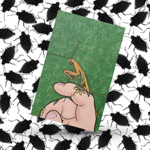 Load image into Gallery viewer, Mantis in my Hand 5x7 Art Print by Alexis Kennedy
