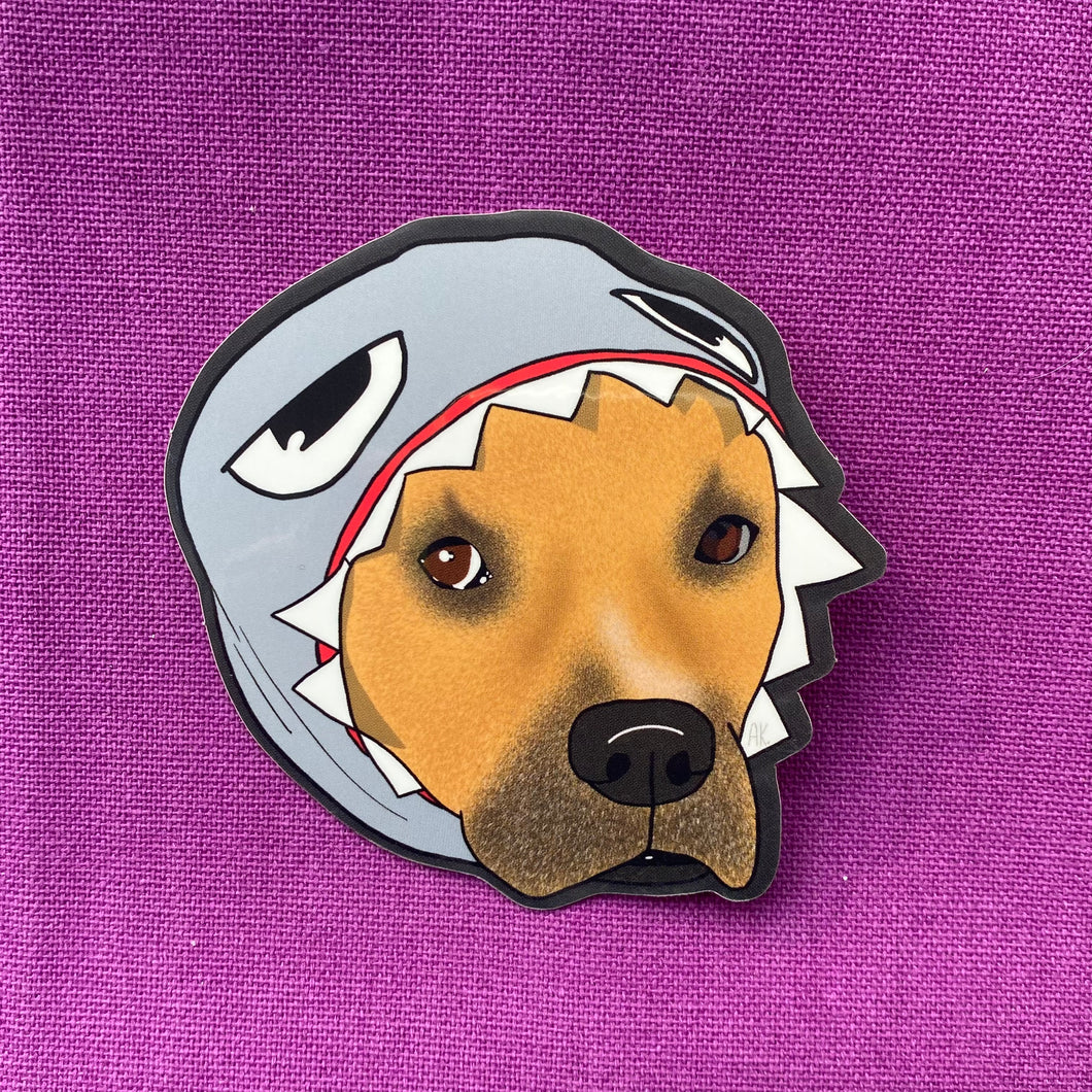 Kia Shark Sticker🐕🦈